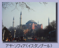 shinkobo029003.jpg